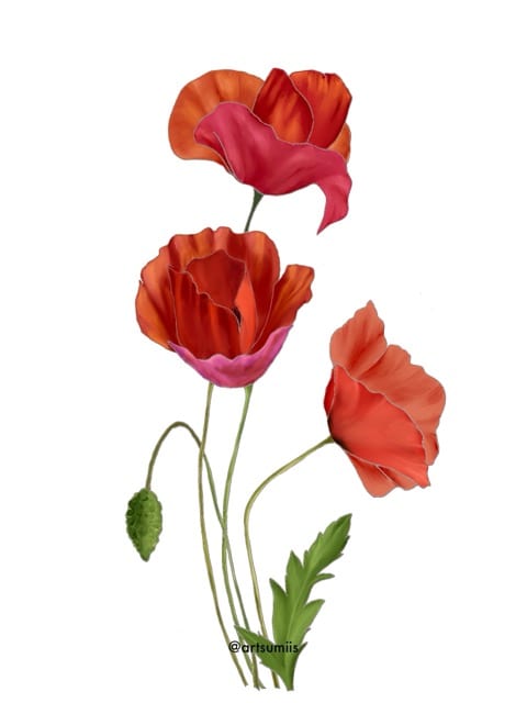 Red Flowers
