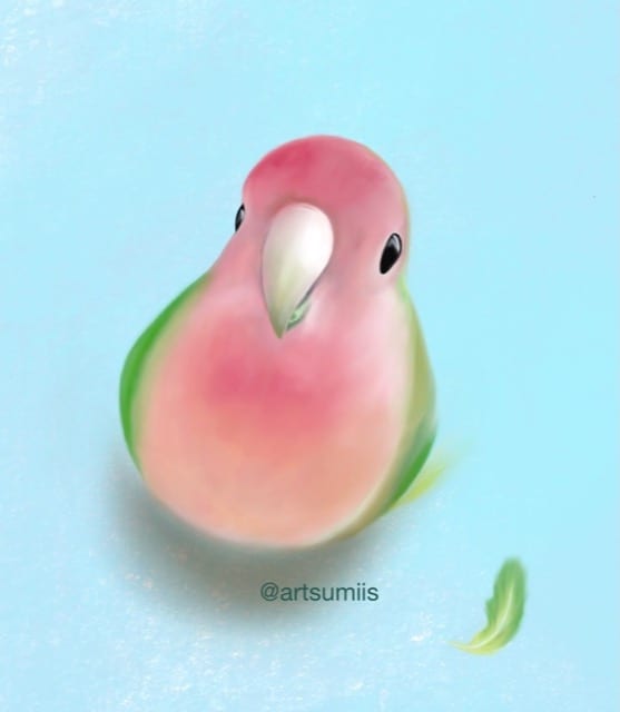 Watermelon Bird
